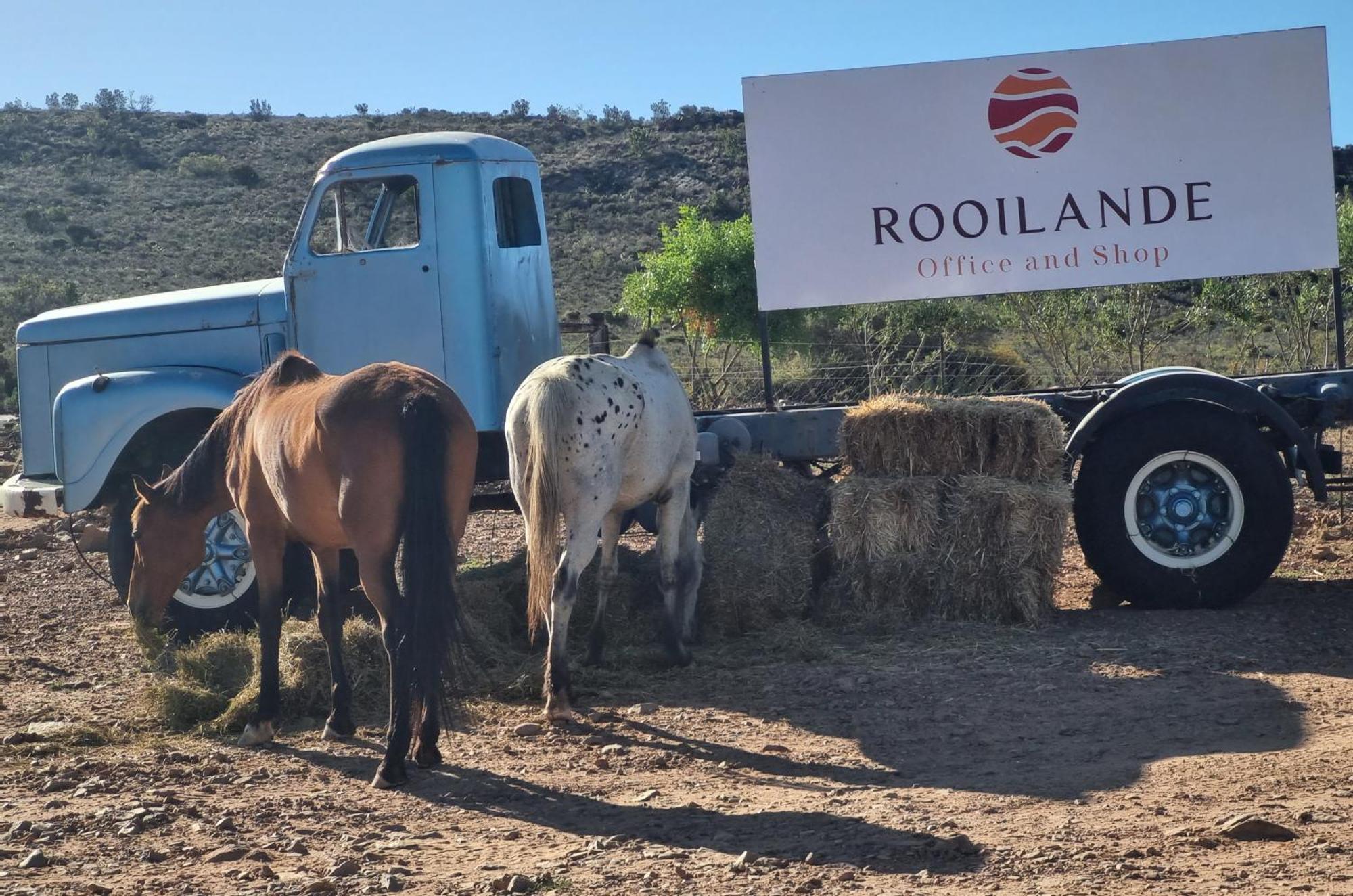 Rooilande Guest Farm Chalets Laingsburg Exterior foto